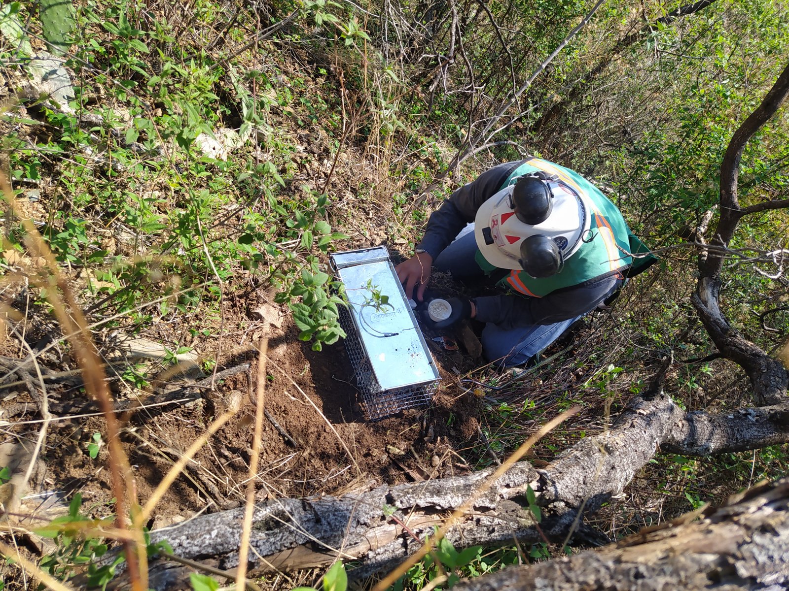 Trabajo de campo para estudios ambientales