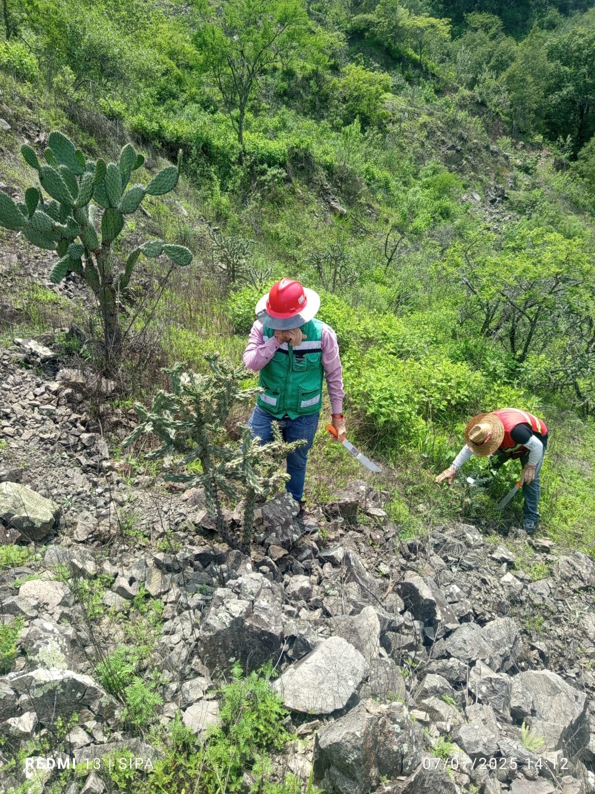 Seguimiento Ambiental