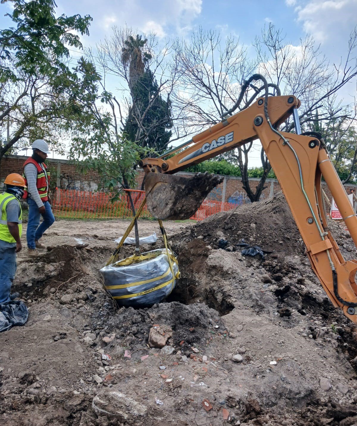 Intervención de arbolado urbano