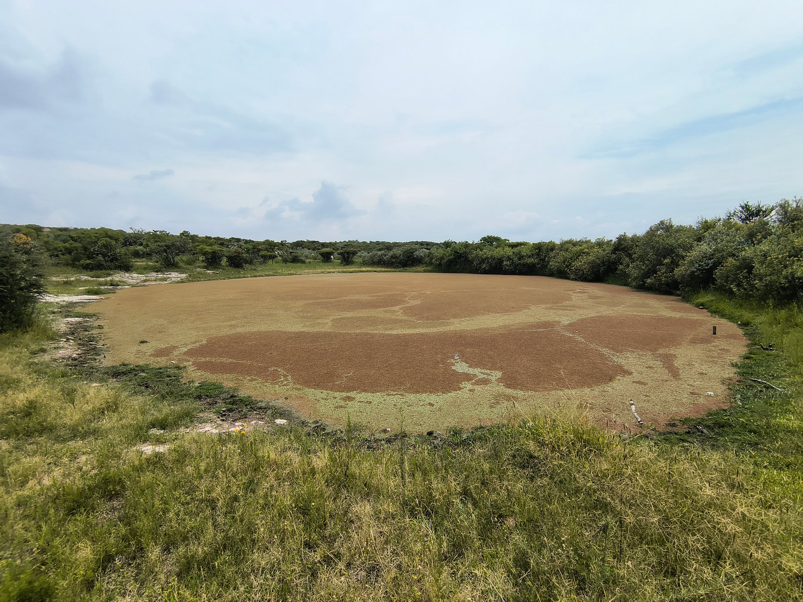 Impacto y Riesgo Ambiental