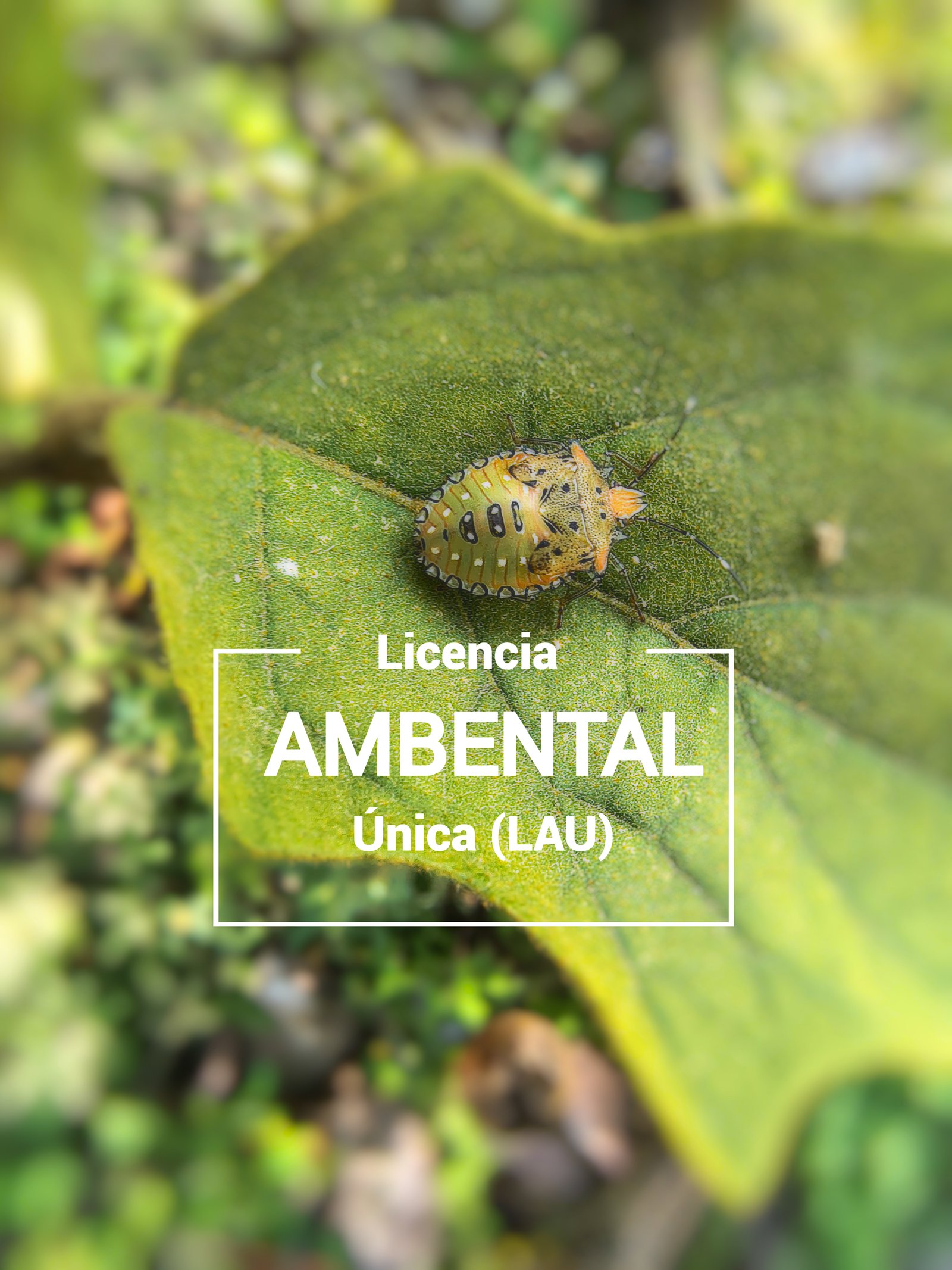 Gestión ambiental
