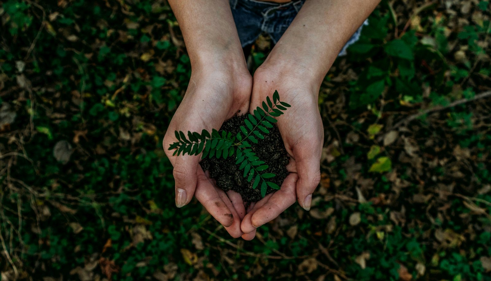 Evaluación ambiental