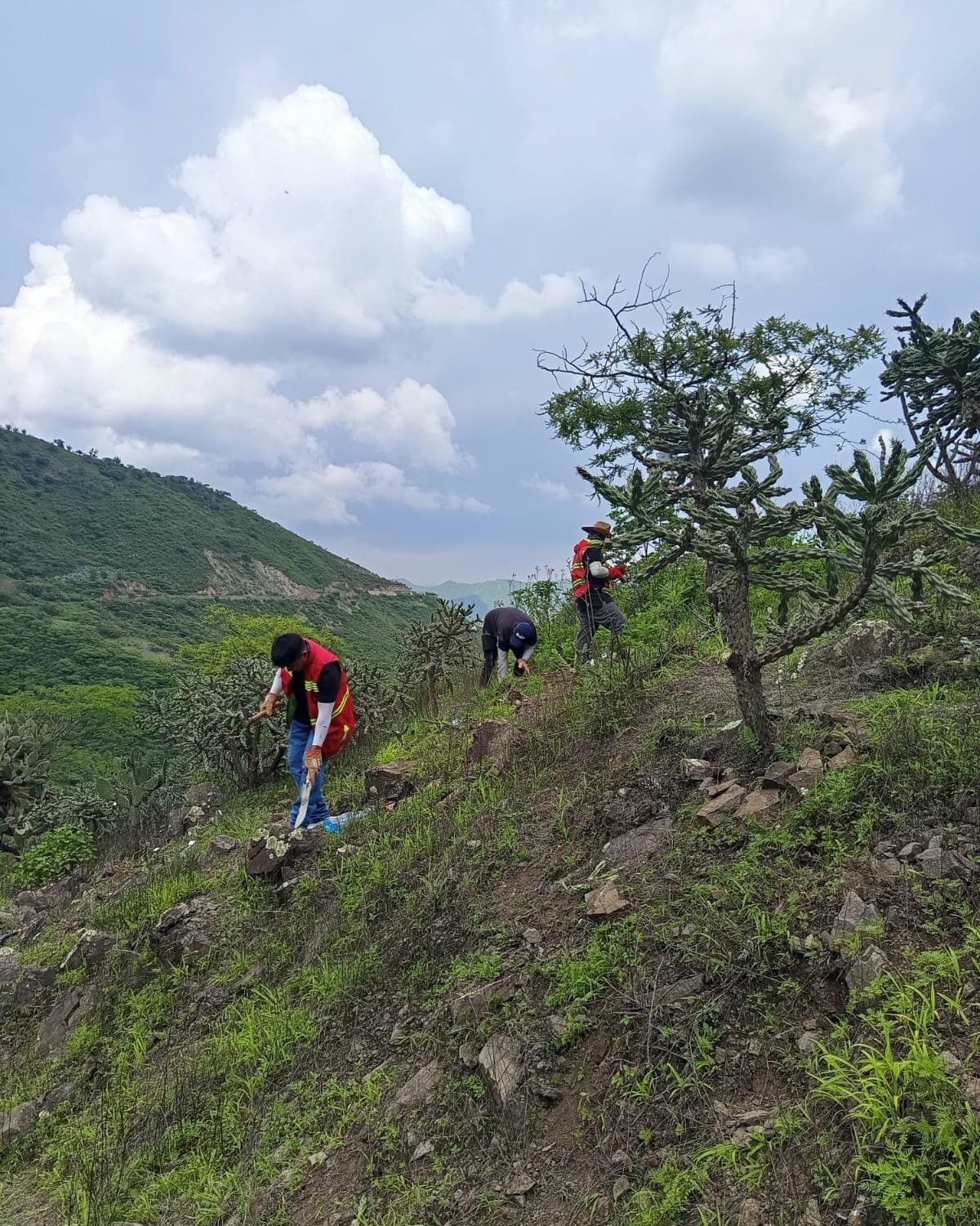 Seguimiento ambiental