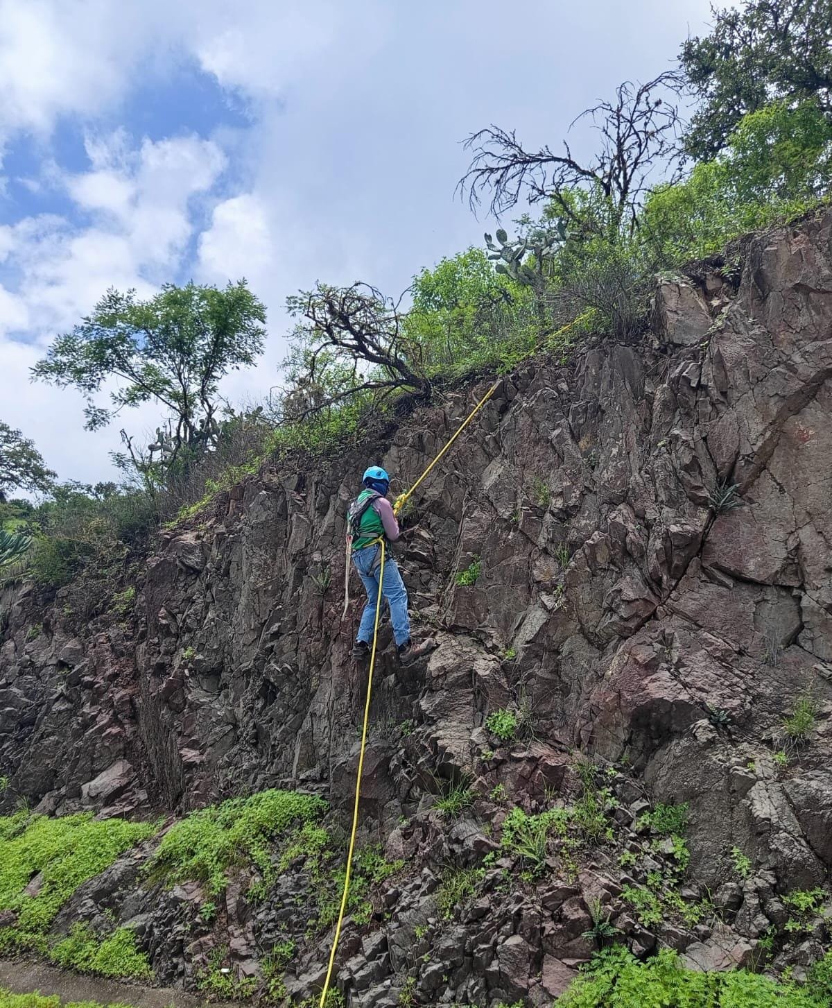 Cumplimiento ambiental